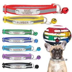 Collar identificación con campana para perro y gato