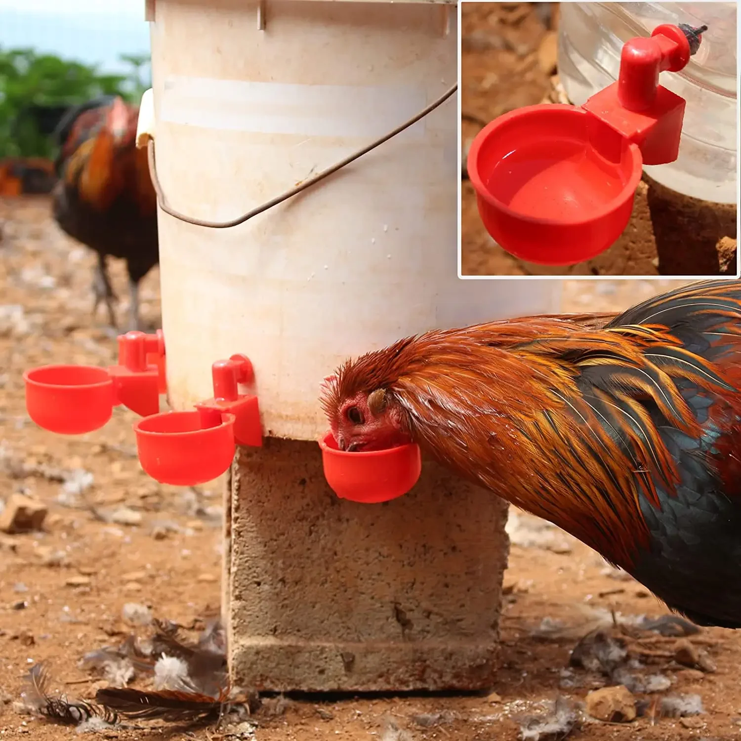 Bebedero automático para pollos y patos, bebedero de plástico para granja avícola, fácil instalación, 6 a 36 unidades - imagen 3