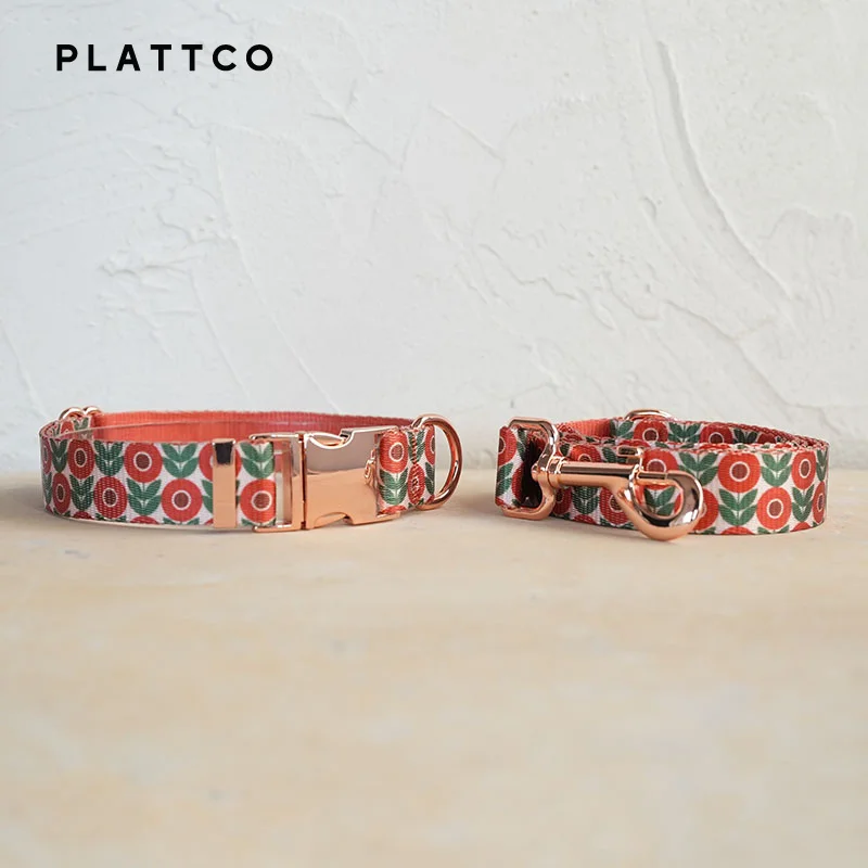 Dog Collar Leash Set