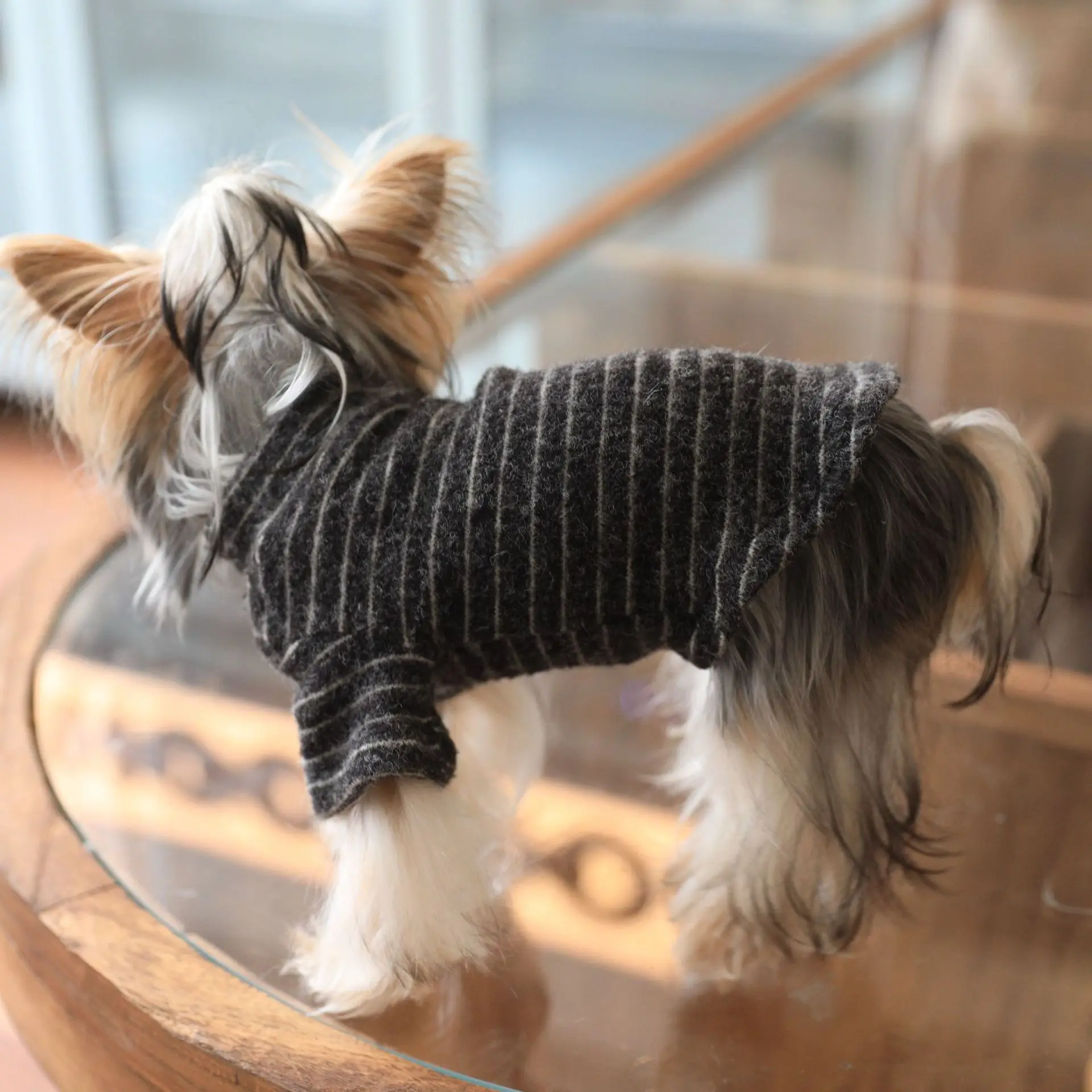 Camiseta invernal gruesa de rayas negras para perro Yorkshire