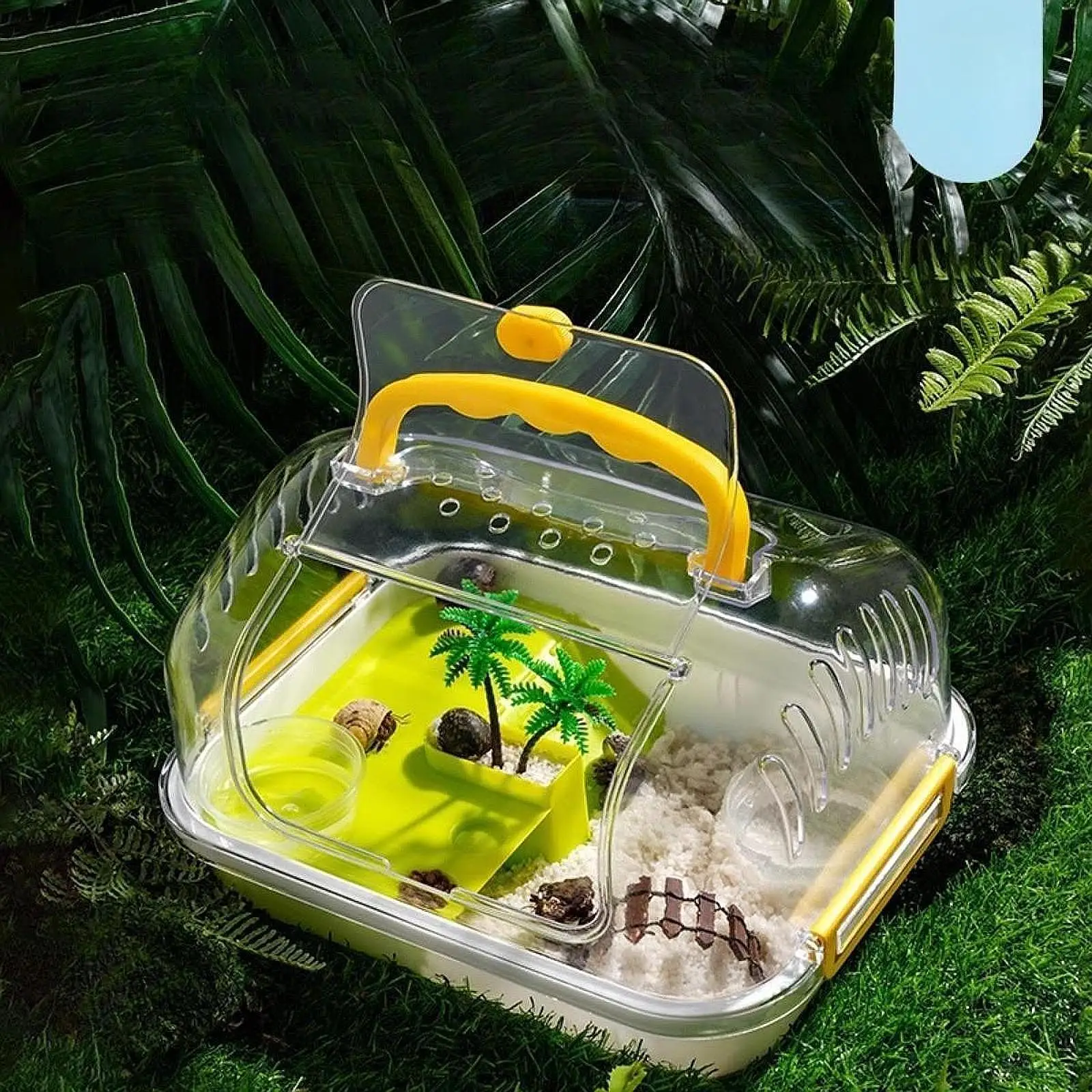 Turtle Tank Aquarium Pets Accessory with Lid Tortoises Case Reptile Carrier Box for Beetles Hermit Crabs Silkworms Crabs Snail