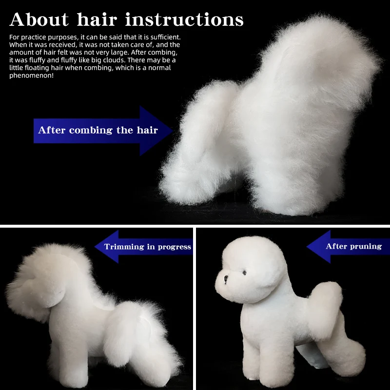 Modelo de simulación de mascota Bichon estándar, perro para práctica de aseo, adorno de pelo falso y estilo, debe usarse con el modelo de esqueleto - imagen 2
