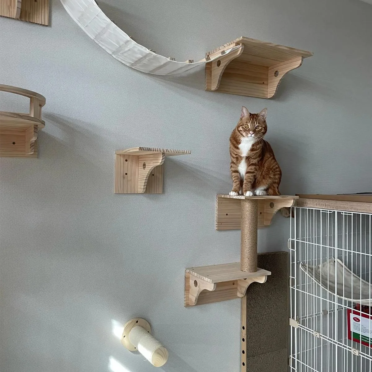 Juego de muebles para gatos, hamaca para rascar gatos, escalera de madera, juguetes para gatos de interior, descanso y juego - imagen 4