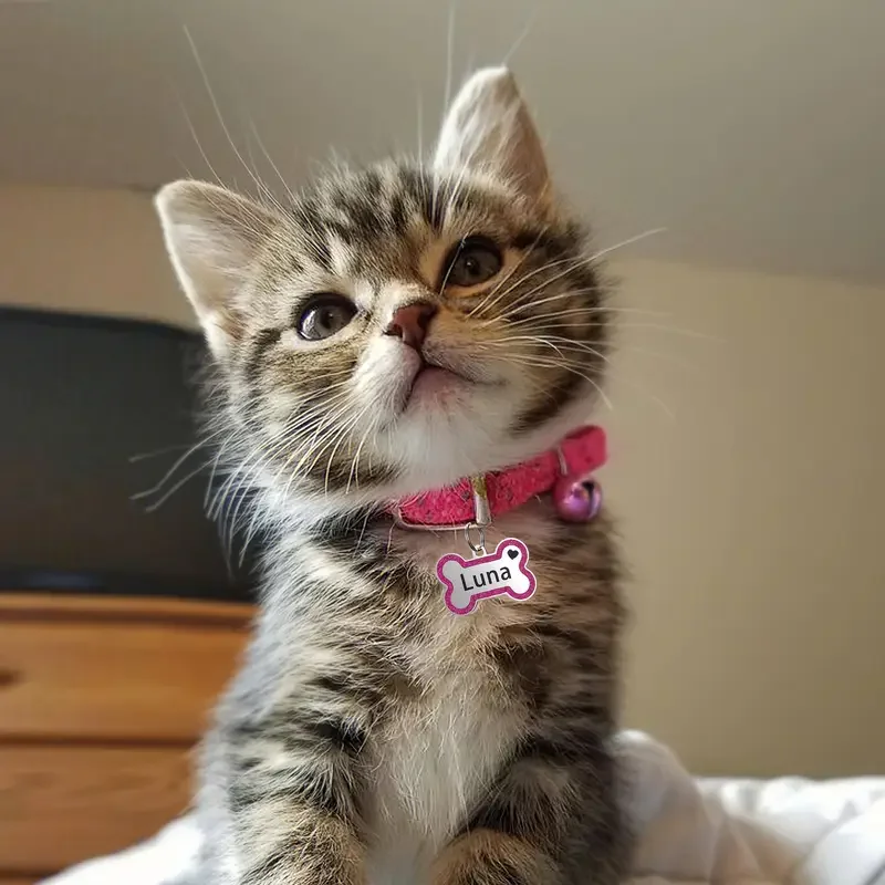 Etiqueta de identificación de perro, etiquetas de perro magníficas personalizadas para huella de pata de perro pequeño y mediano, placa de etiqueta de nombre de mascota personalizada, accesorios de Collar - imagen 4