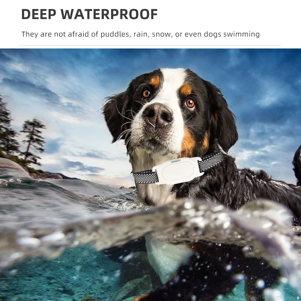Collar de entrenamiento para perros con Control remoto de 800M, entrenador electrónico para perros, collares para perros de 433MHz, Collar de choque con vibración recargable - imagen 2