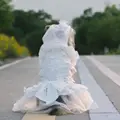 Veil Wedding Dress