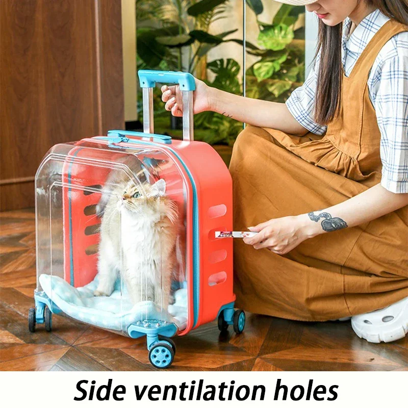 Cochecito transparente para gatos, 4 ruedas, cochecito de transporte barato y resistente, cubierta de carrito para gatos y cachorros, suministros de lujo para mascotas al aire libre - imagen 3