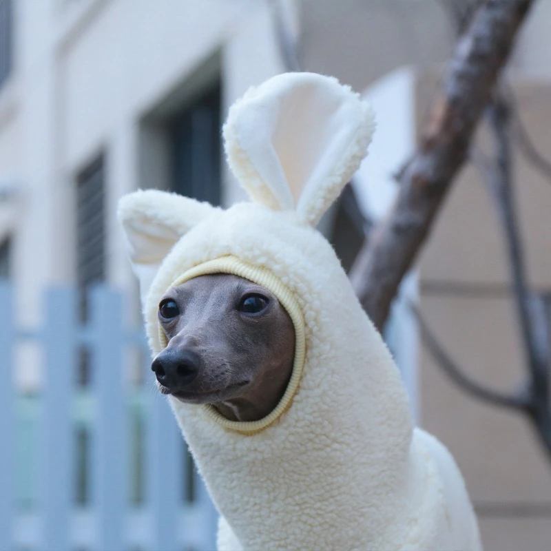 Monos de invierno gruesos para galgos y Whippets – A prueba de viento - imagen 2