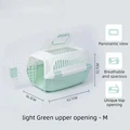 6012-M Light Green