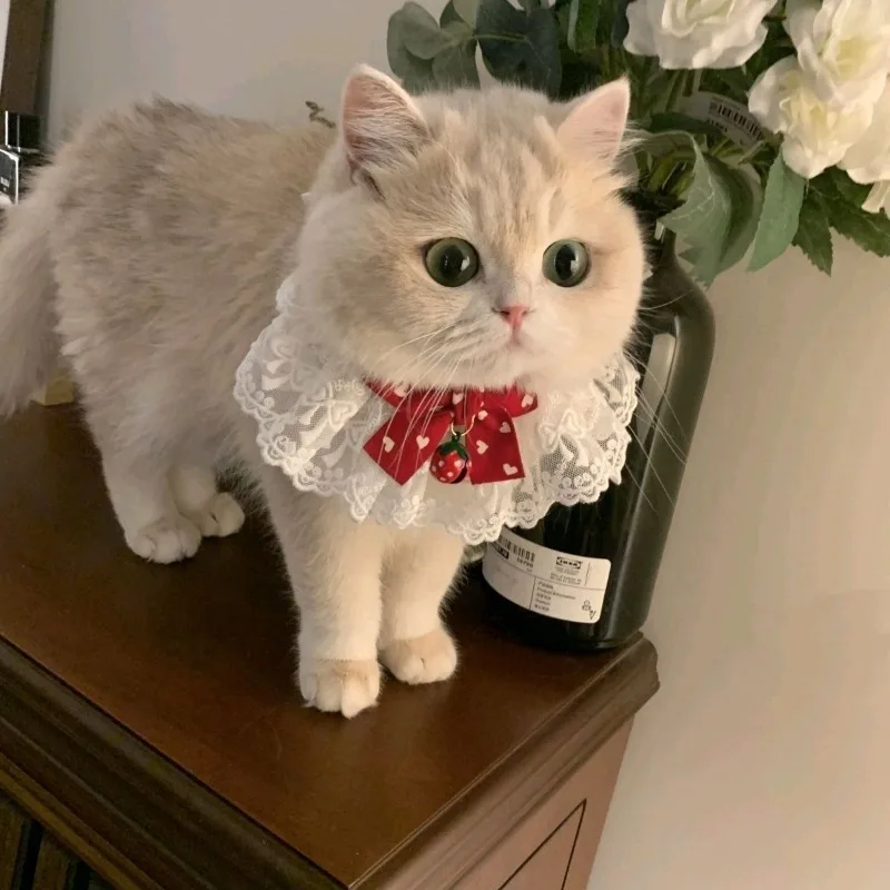 Toalla de Saliva atada con lazo para gatos, Collar de encaje estilo princesa, Collar con campana, bufanda, productos decorativos para mascotas, Collar de flores para perros y gatos - imagen 3