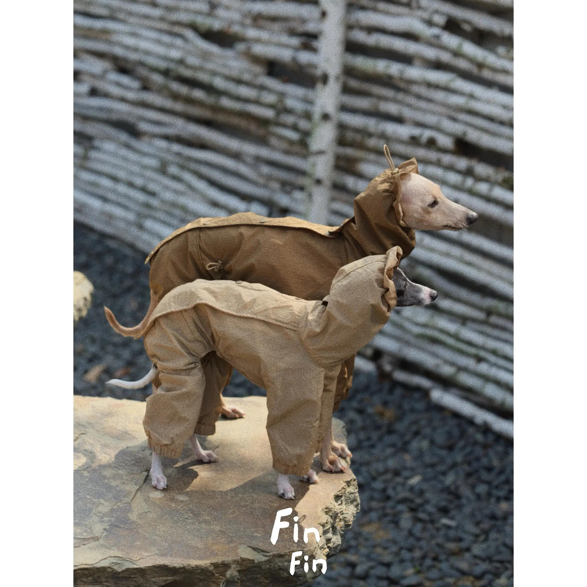 Chaqueta cortavientos impermeable para perros pequenos - color cafe