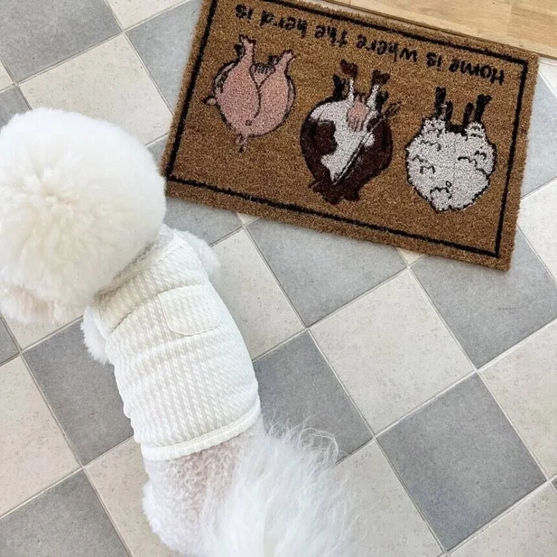 Chaleco fino de verano para perro, ropa para perros pequeños transpirable, Chihuahua, Bulldog Francés, ropa para cachorros, accesorios para perros y gatos - imagen 5