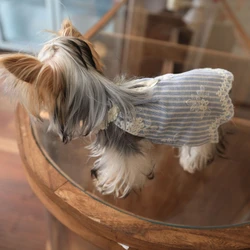 Conjunto verano para perros pequeños Chihuahuas y salchicha