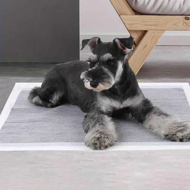 Pañales absorbentes y almohadillas entrenamiento para perros - imagen 2