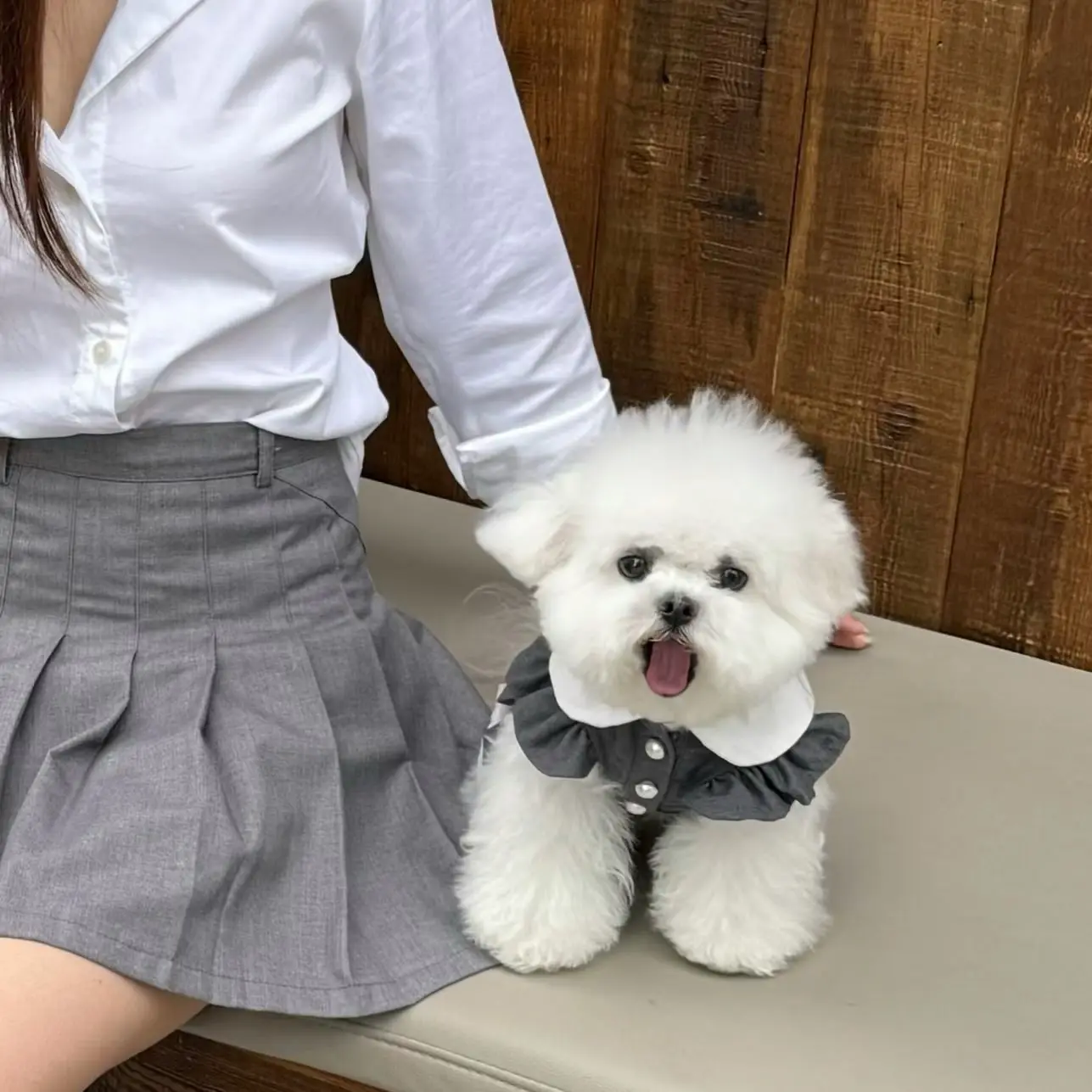 Nueva falda plisada Jk de estilo universitario coreano, ropa para mascotas, lindo atuendo para perros pequeños y medianos (bichon Frise, Pomeranian) y gatos - imagen 3