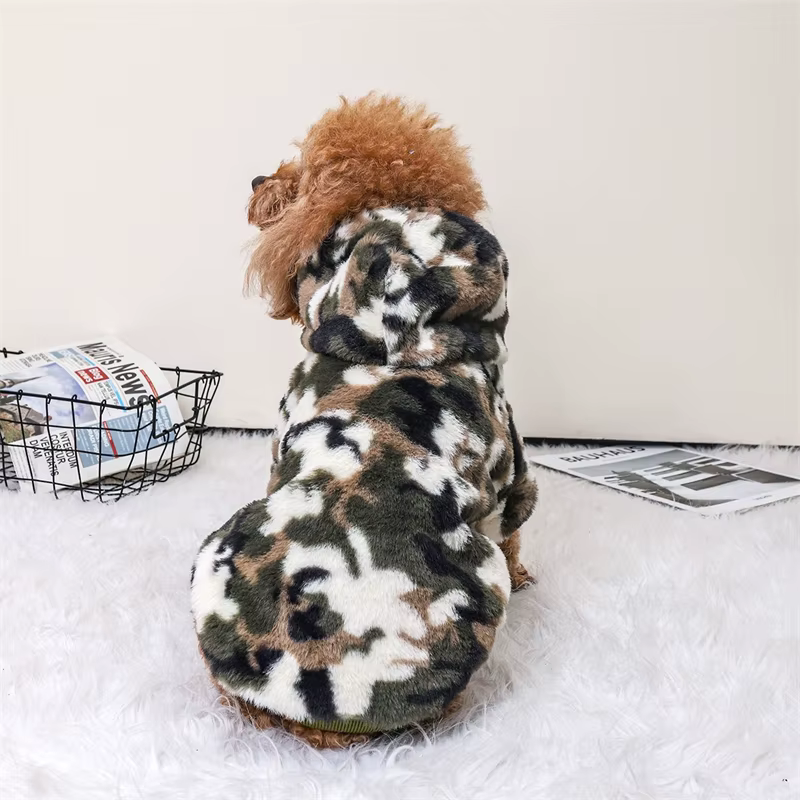 Mascota con la sudadera puesta