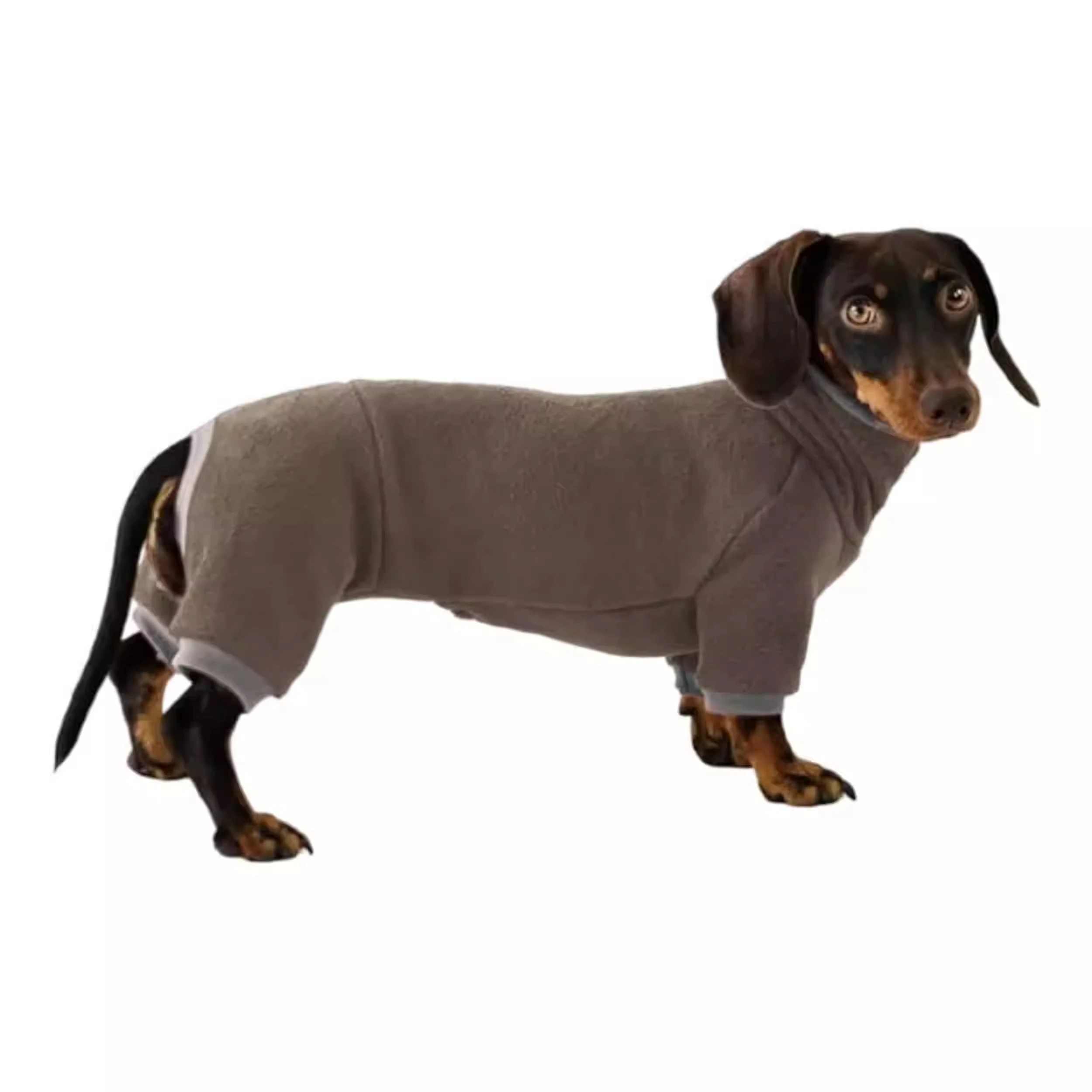 Ropa cálida para perro salchicha, pijamas elásticos de cuatro patas para perro salchicha suave, ropa cómoda para perro tejón en invierno