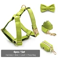 Harness Bow Set