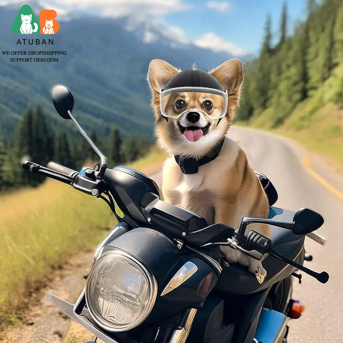 ATUBAN Casco para Perros de Raza Pequeña, Casco de Motocicleta para Perros Visera Transparente para Ciclismo al Aire Libre Sombrero para Mascotas a Prueba de Viento con Remache - imagen 2