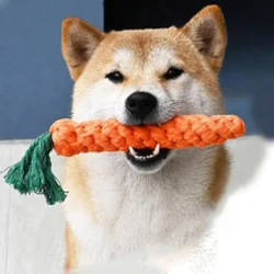 Juguete dental de cuerda para perros con nudo de zanahoria