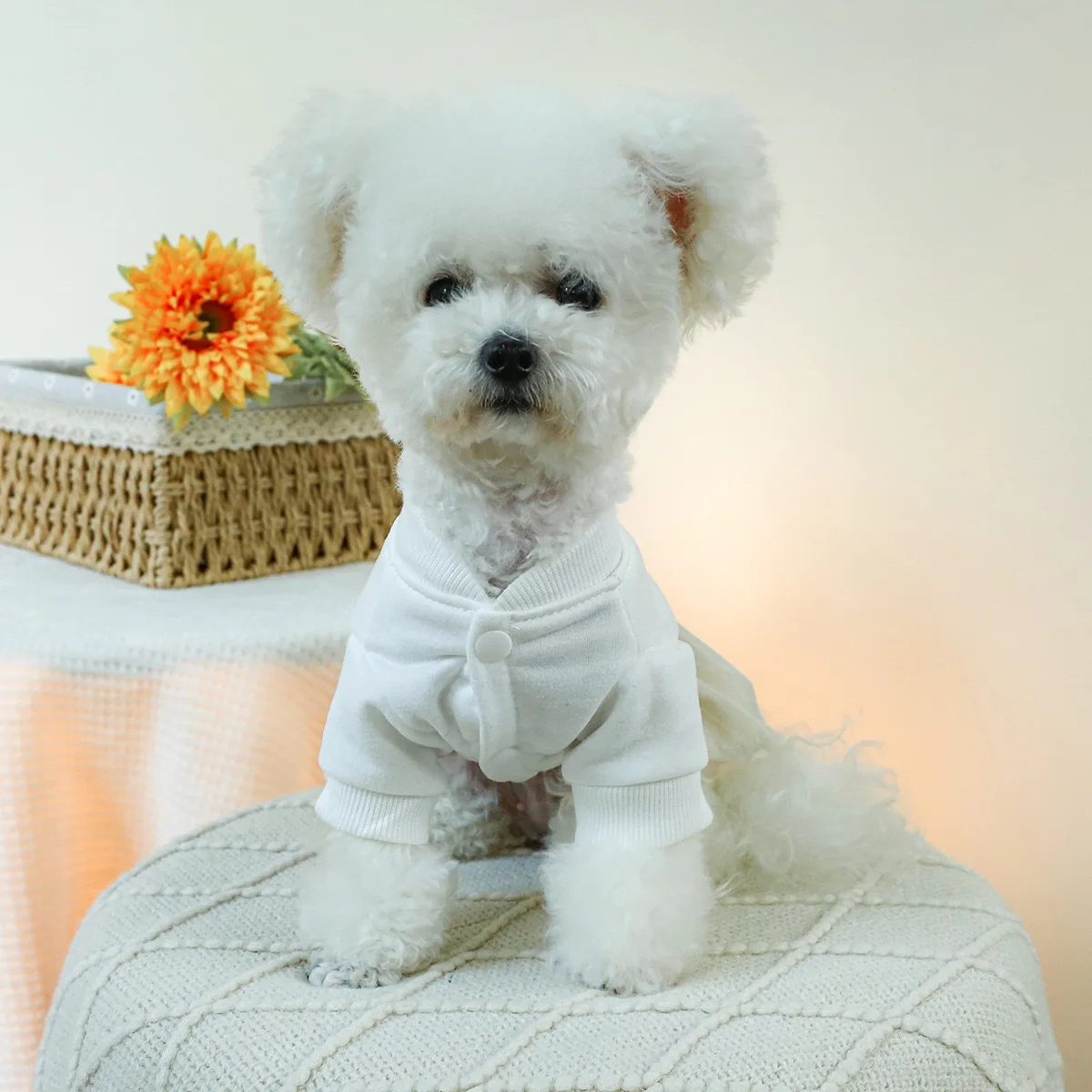 Vestidos de ocio de California para cachorros femeninos, ropa transpirable de poliéster para mascotas, falda con correa para exteriores, monos para gatos Bulldog Francés - imagen 3