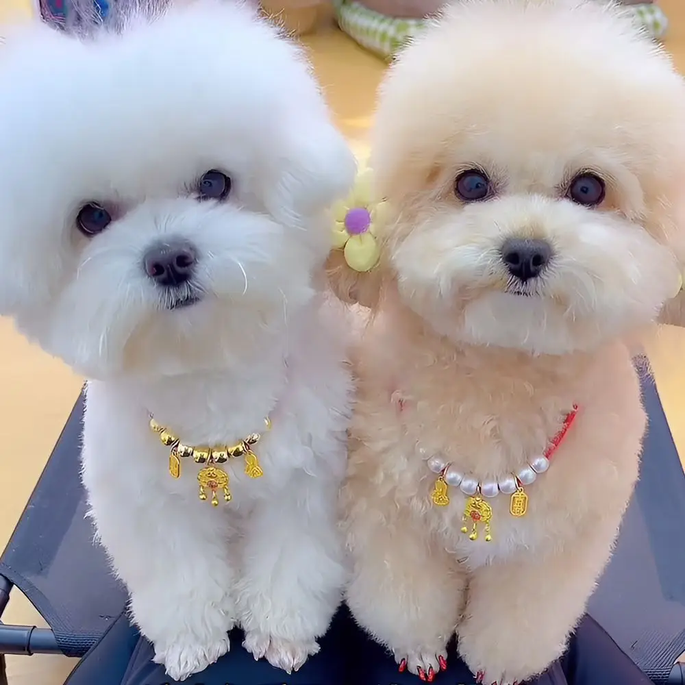 Collar de gato con campana para Año Nuevo, accesorio de decoración festiva, ajustable, tejido de dibujos animados, cachorro y gato - imagen 5