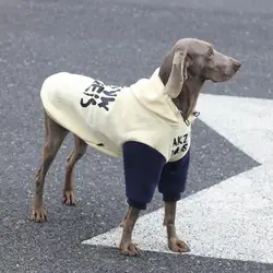 Sudadera con capucha Patchwork para perros grandes Golden Retriever