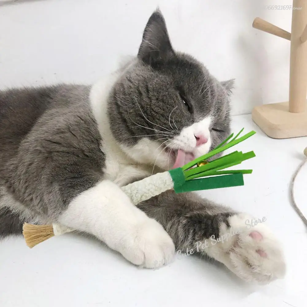 Caña pescar pluma juguete gatitos mordedor - imagen 4