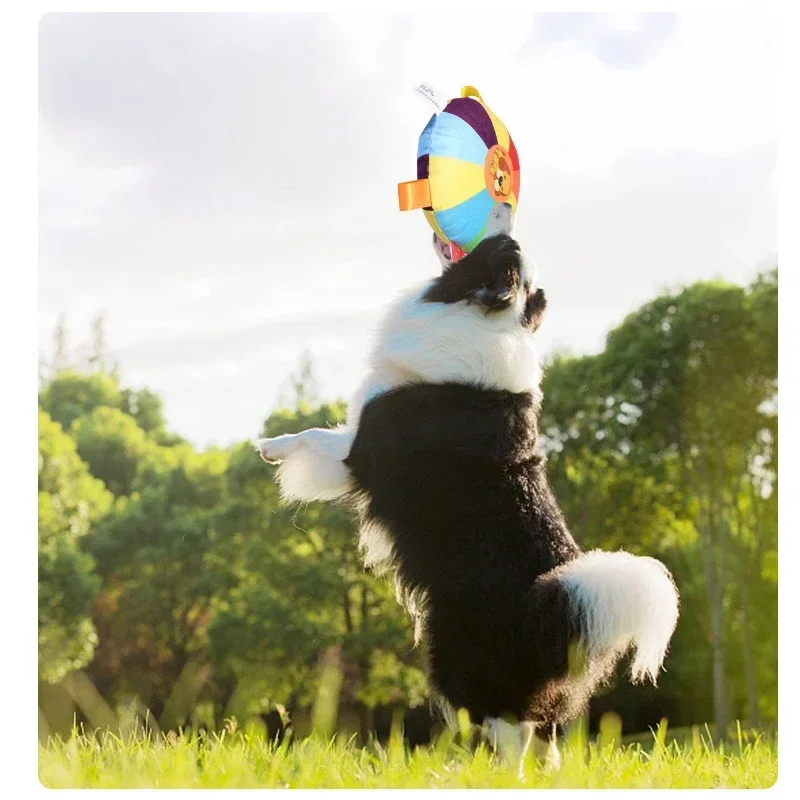 Juguetes de entrenamiento de felpa, juguetes voladores al aire libre, masticar para perros voladores, juegos blandos, platillo para cachorros, discos interactivos resistentes, deportes - imagen 4