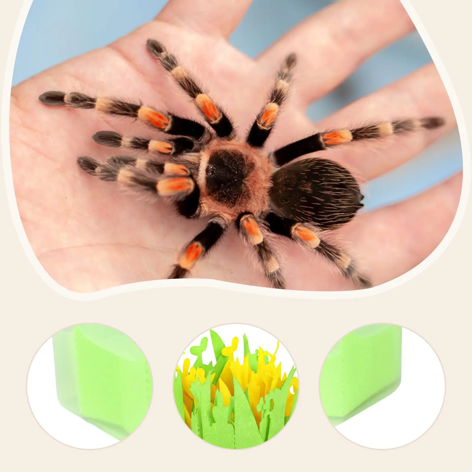 Reptile Humidifier with Water Basin for Chameleon Bearded Dragons Amphibians