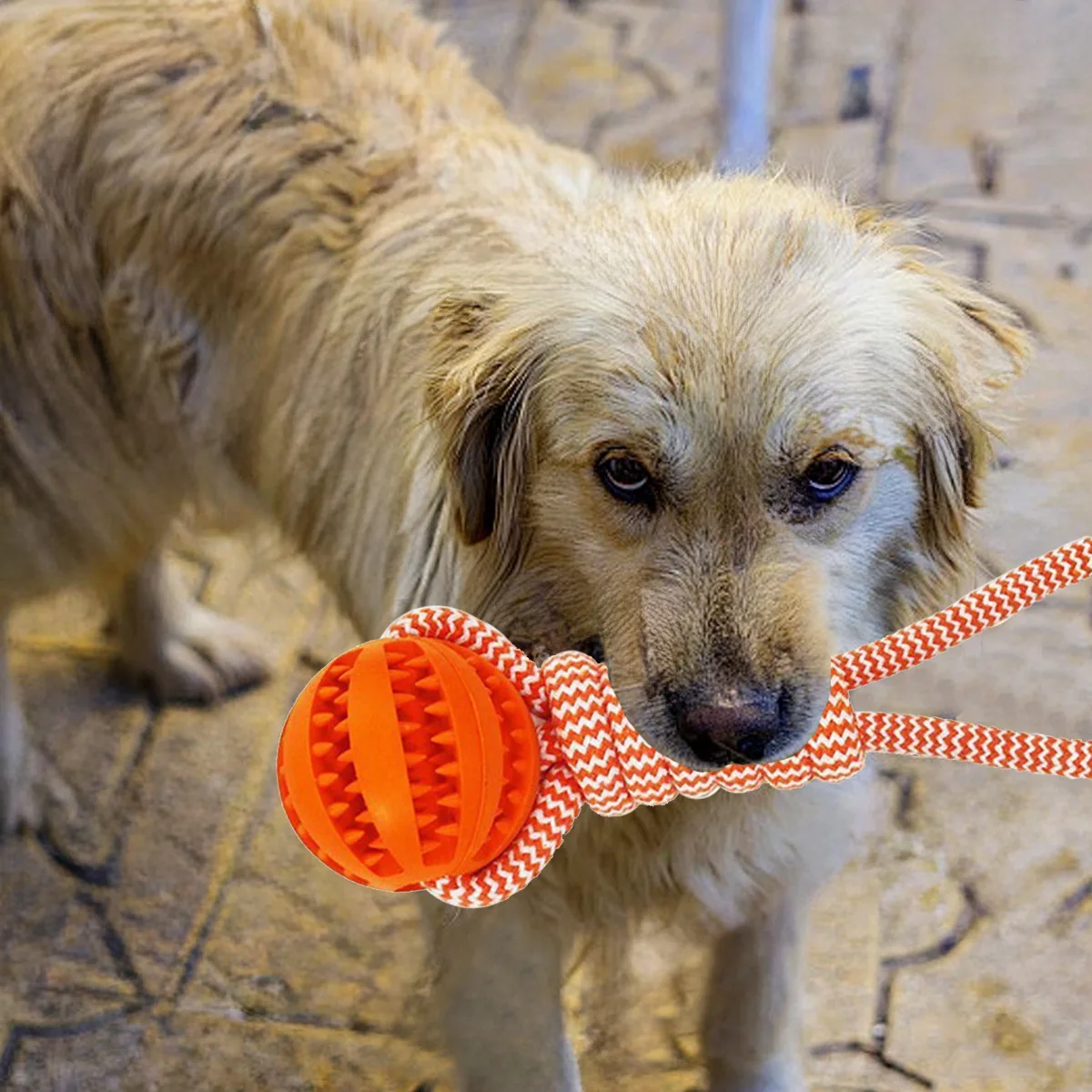 Juguetes para masticar para perros: bola de sandía dental, dispensador de golosinas y juguetes de cuerda de algodón para limpieza y morder los dientes de mascotas - imagen 5
