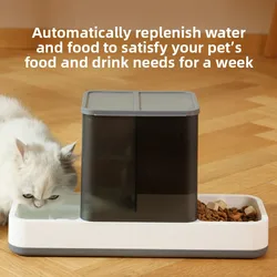 Cuenco doble para perro y gato – Plato de comida y agua