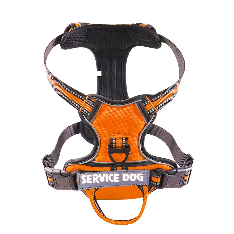 Orange Harness
