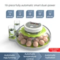 18 Eggs dual power