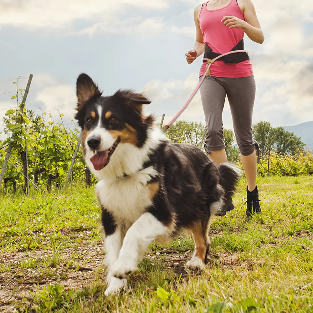 Correa para perro, cadena de cintura ajustable multifuncional, tracción para correr, caminar, correas manos libres, correa, cordón para perro - imagen 5