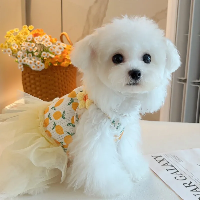 Ropa de verano para mascotas, vestido de gasa de encaje para perros pequeños, vestido Floral encantador para gatos, falda de fiesta de cumpleaños, disfraces, vestido de boda para perros - imagen 3