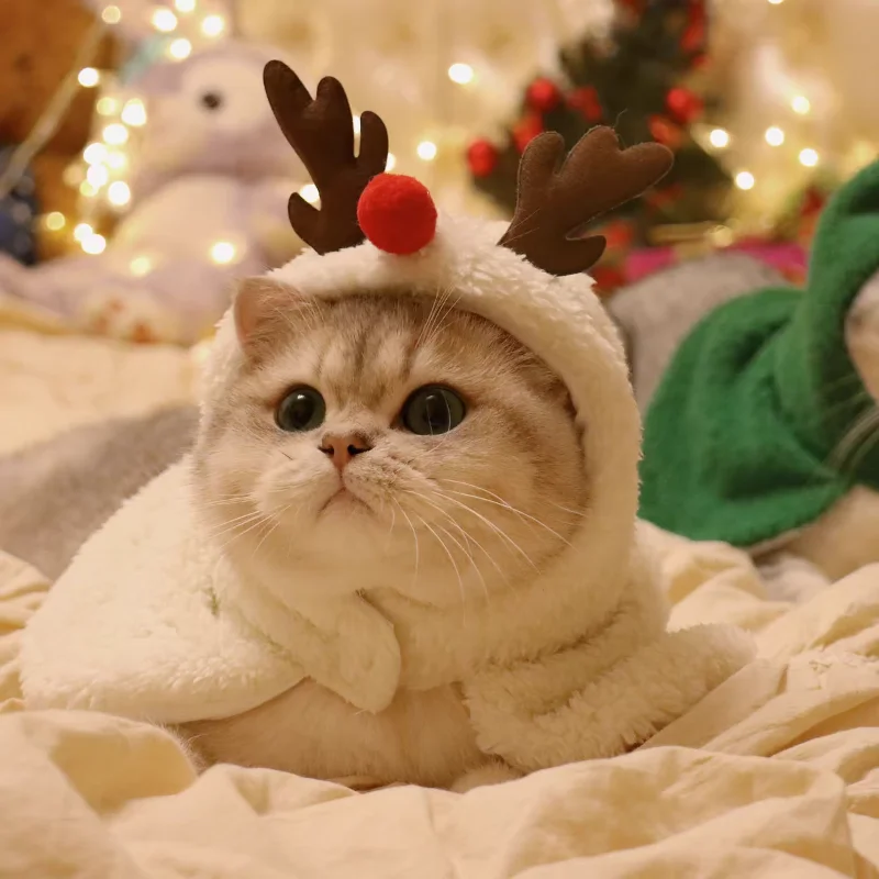 Gorro navideño para mascotas, disfraz de gato, tocado de Navidad, suministros de vestir para vacaciones, gorro de Papá Noel de felpa, accesorios para cachorros y gatos - imagen 4