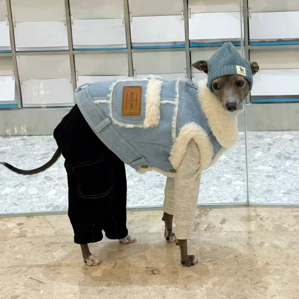 Chaqueta vaquera para Galgo italiano y Whippet – Abrigo invernal