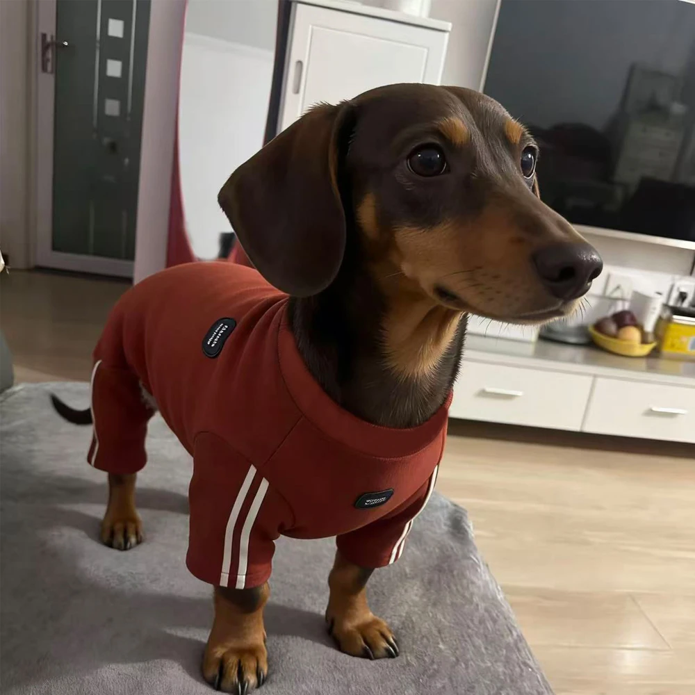 Ropa reflectante para perro salchicha (Dachshund) - sudadera gris - imagen 3