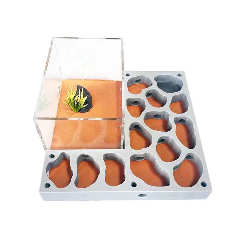 3D Acryl Ant Farm Ecological Flat Ant Nest with Feeding Area Gypsum Ant House Pet Anthill Workshop Moisturizing Water Pool New - imagen 2