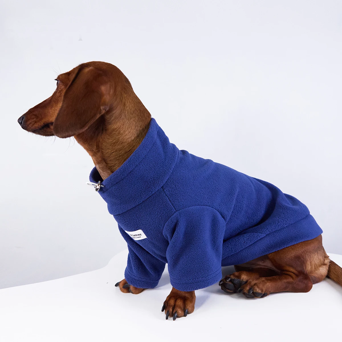 Sudadera de lana cálida de invierno para perros Wiener, ropa de moda suave y gruesa de otoño para perros salchicha, disfraz de 2 patas para perro salchicha - imagen 3