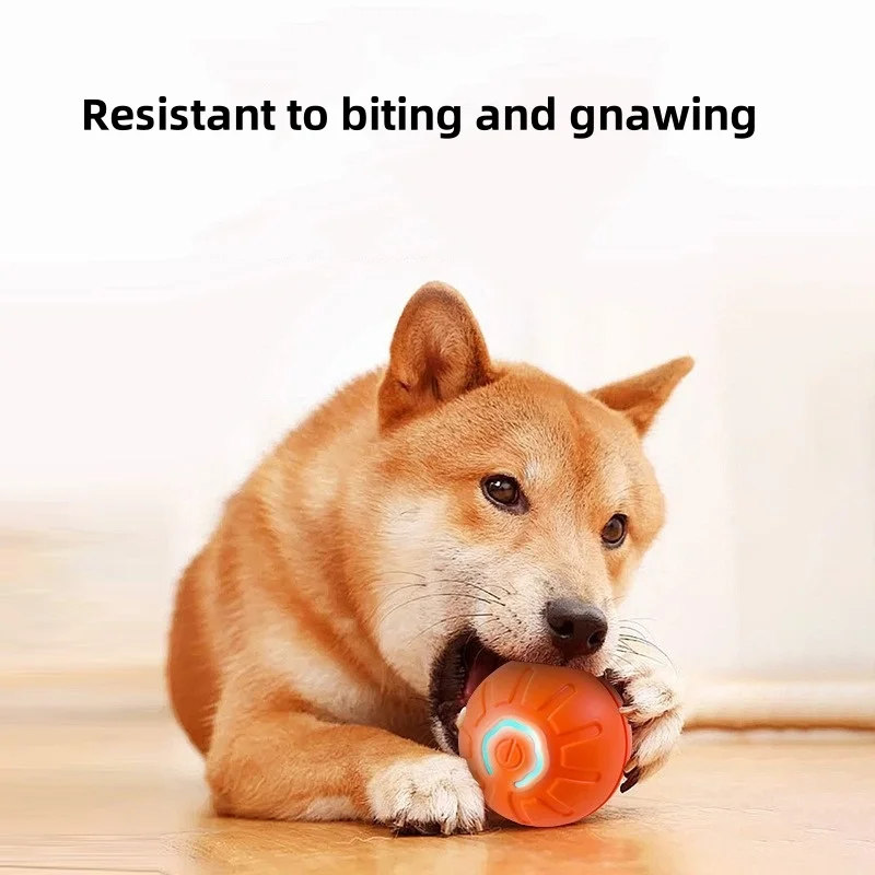 Juguete automático para perro rodante, juguete de entrenamiento autopropulsado para gatito, juego interactivo para interiores, pelota eléctrica inteligente para perro, suministros - imagen 5