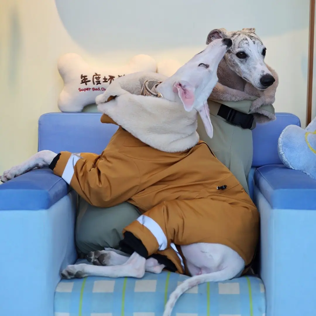 Chaqueta térmica para galgos y whippets – Forro polar verde cortavientos - imagen 3