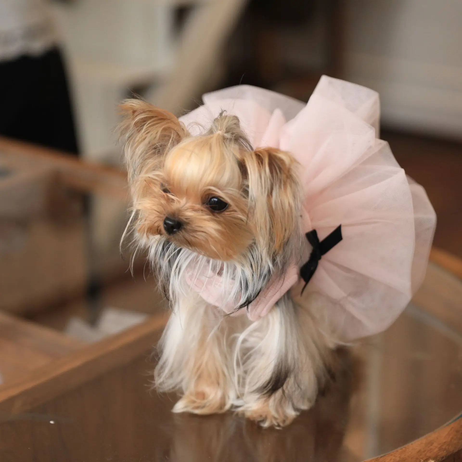 Vestido de princesa rosa para mascotas, chaleco transpirable con lazo, vestido de novia con brotes de flores para perros pequeños, vestido de fiesta de boda transpirable para Yorkie - imagen 3
