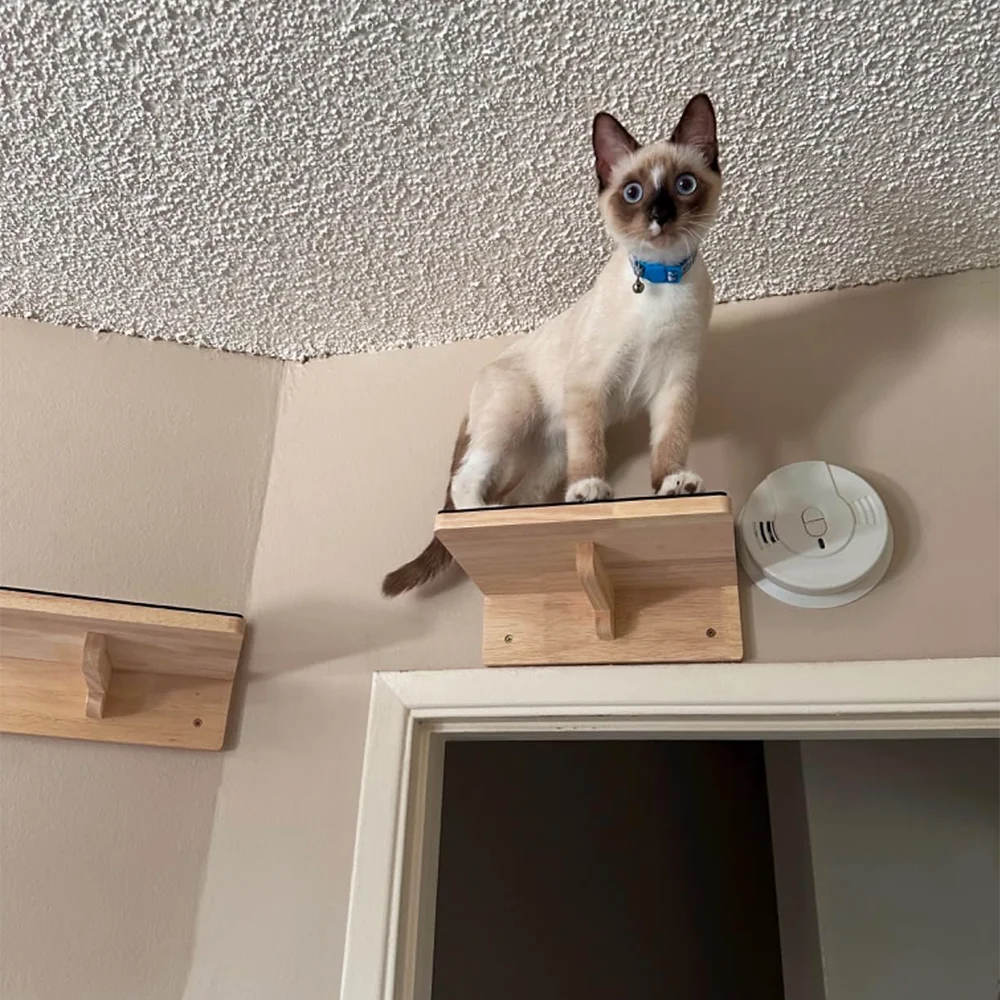 Pasos de pared para gatos con estantes de fieltro, estantes de madera para escalar gatos, muebles montados para gatos, cama de pared para gatos para jugar - imagen 2