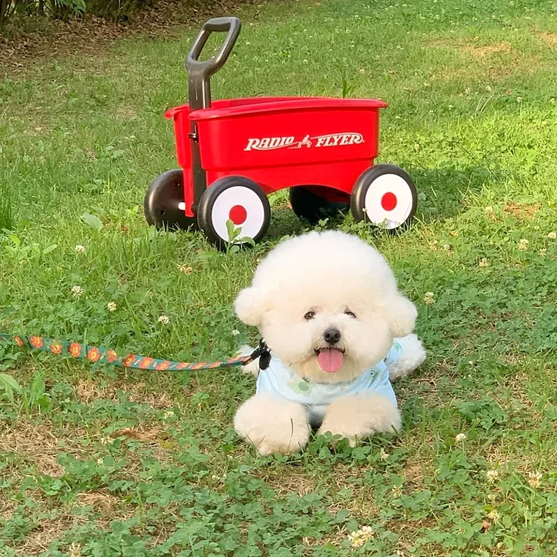 Chubasquero para perros, traje de cuatro patas, ropa a prueba de insectos para mascotas, ropa de verano refrescante con protección solar, ropa para perros, monos de peluche con capucha - imagen 4