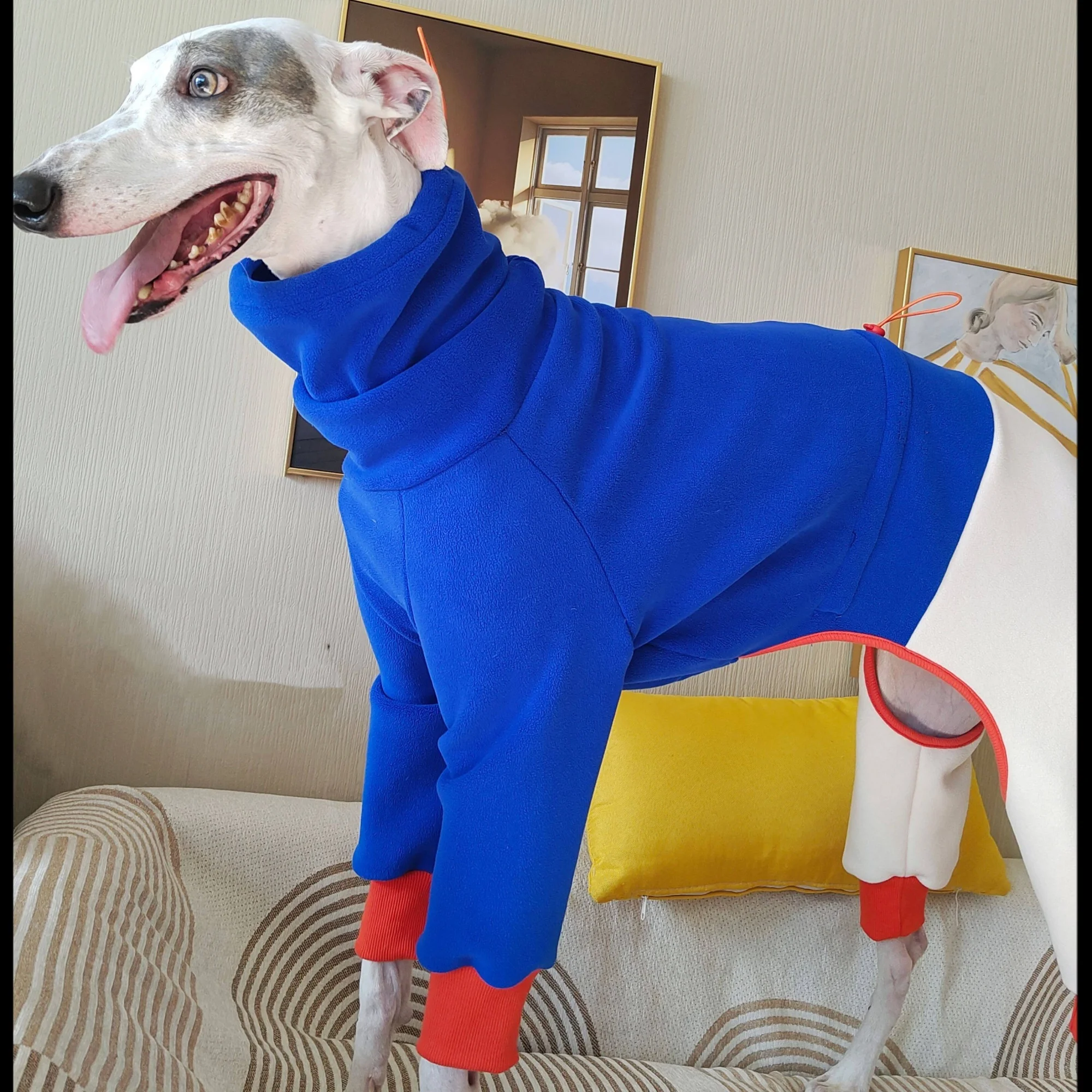 Sudadera elástica para perros Whippet y Galgo – abrigo de otoño - imagen 3