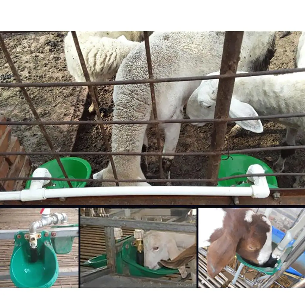 Two Types Optional Farm Sheep Water Bowls, Automatic Drinking Tool for Goat Pig