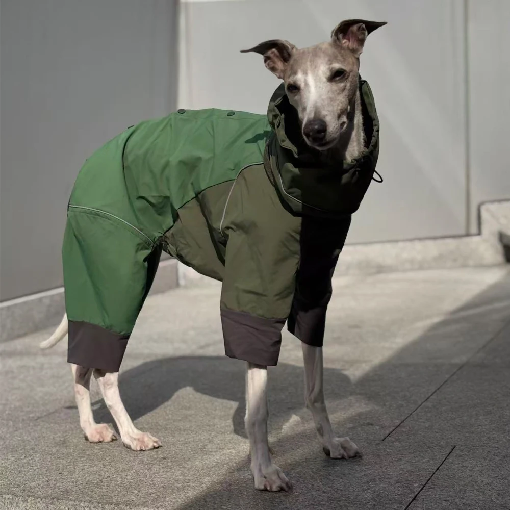 Chaqueta impermeable para perros Whippet con franjas reflectantes - imagen 2