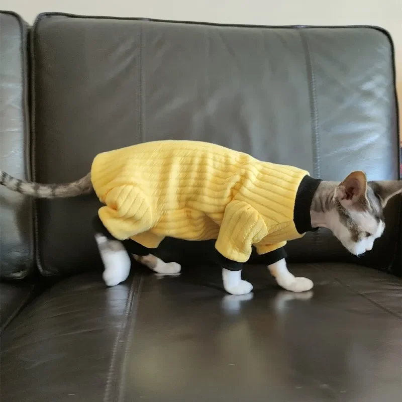Ropa de cuatro patas Proteger el abdomen para gato sin pelo en primavera Sudadera cálida amarilla para gatitos Abrigo azul claro para esfinge - imagen 2